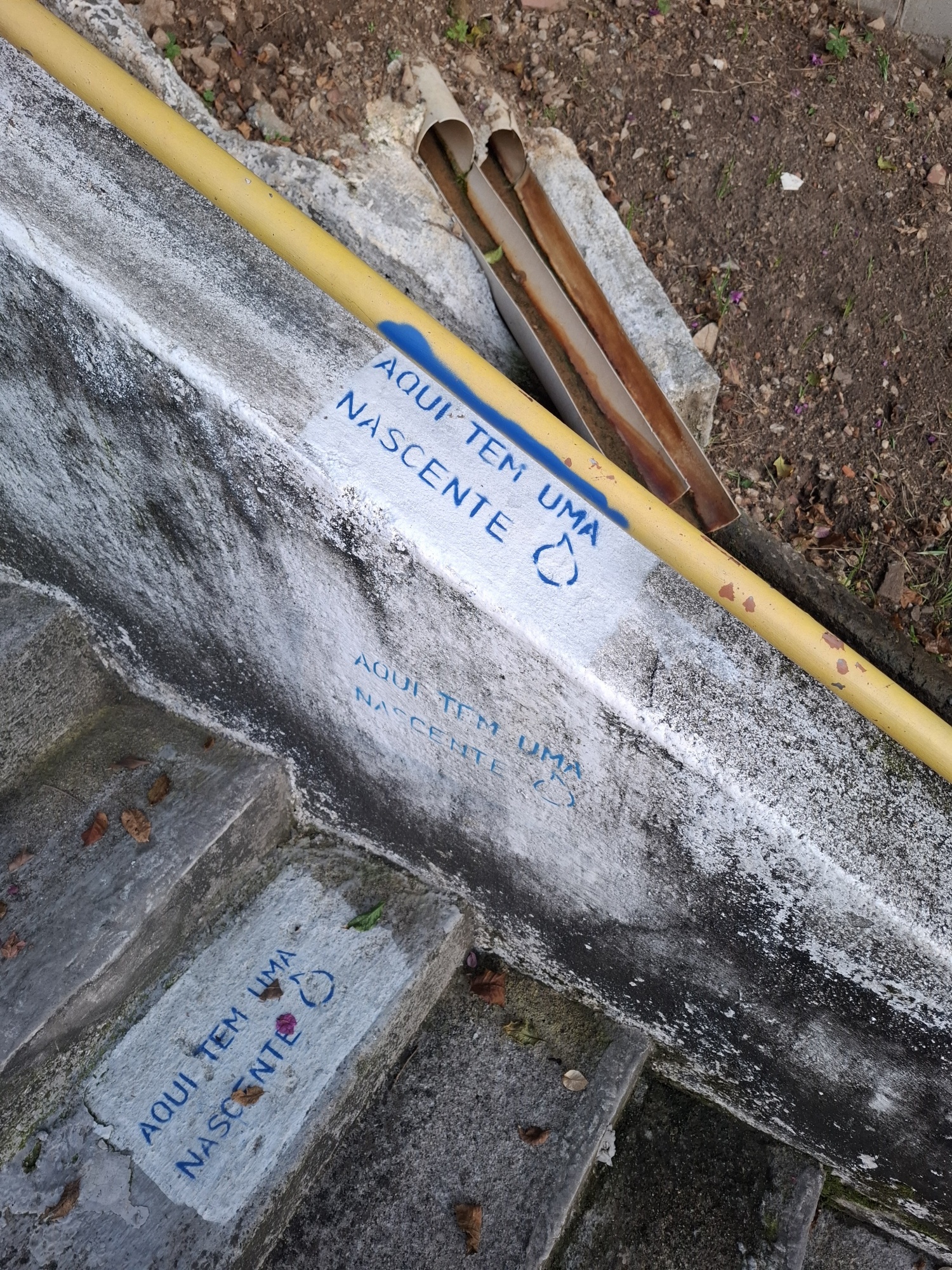 <p><em>Aqui tem uma nascente III </em>[There&rsquo;s a spring here III], 2025, Samsung Galaxy photograph. Photo by Sof&iacute;a Steinvorth.</p>